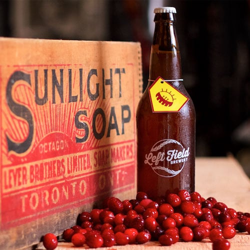 Sunlight Park with Cranberry - Left Field Brewery
