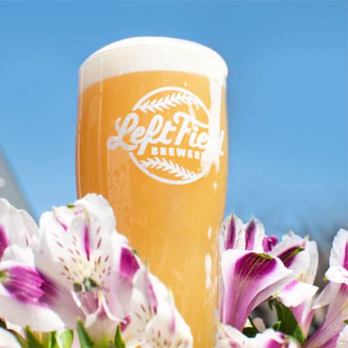 Flutterball Pale Ale Glass – Left Field Brewery
