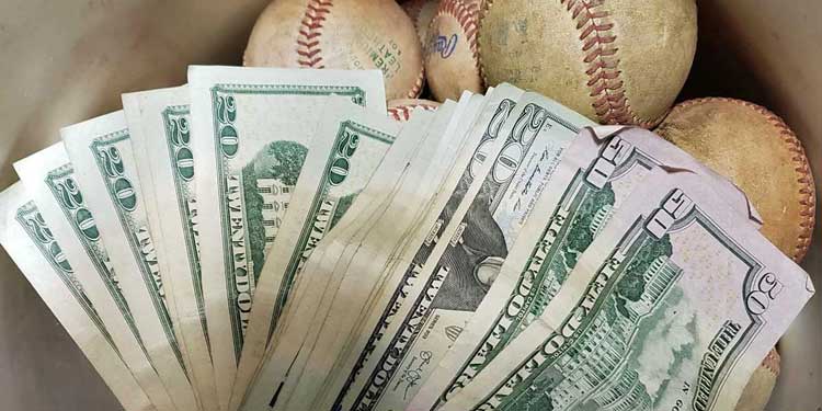 Baseball Team Expenses & Budget