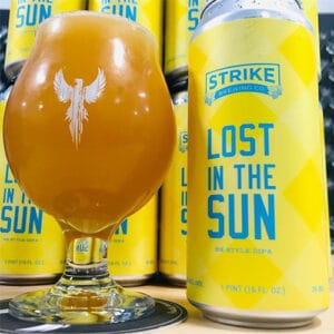 Lost in the Sun - Strike Brewing Co.