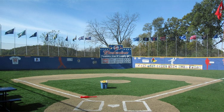 Rookies Food & Spirits Wiffle Ball Field