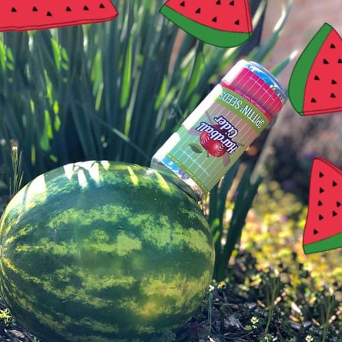 Hardball Cider – Spittin' Seeds (Watermelon)