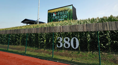 The Field of Dreams Corn Wall