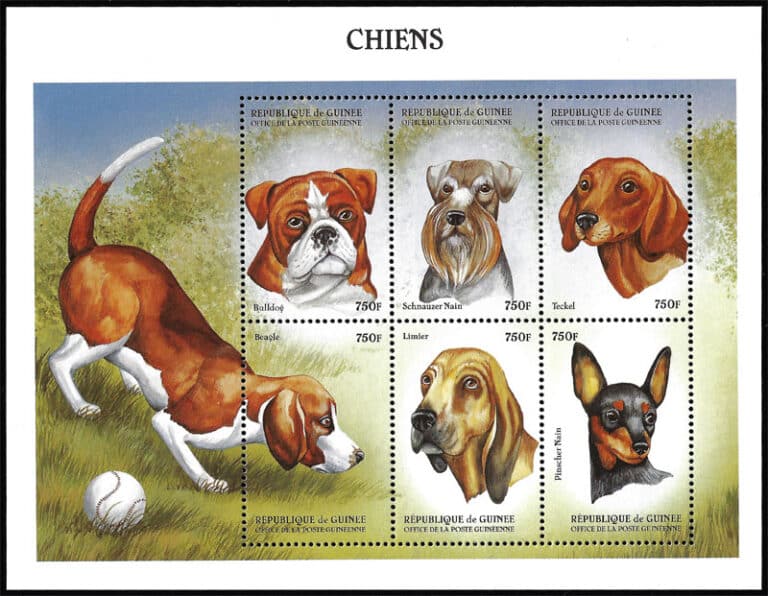 2000 Guinea – Chiens / Dogs (baseball in left margin)