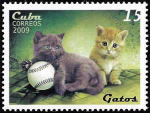 2009 Cuba – Cats with baseball