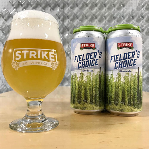Fielder's Choice Pale Ale in a Glass – Strike Brewing