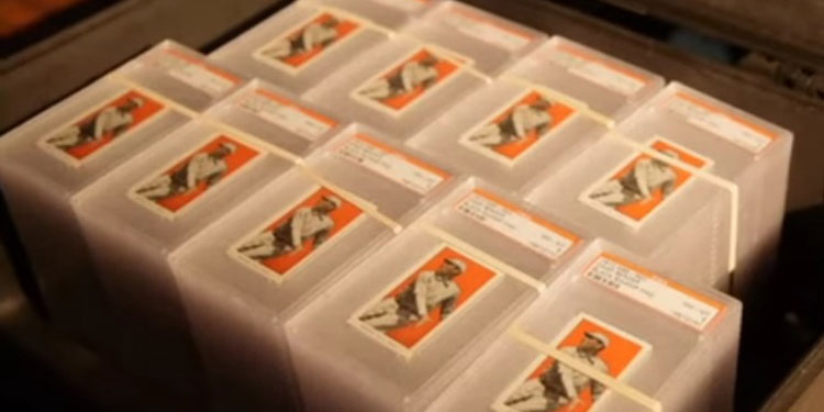 The Black Swamp Find Baseball Cards