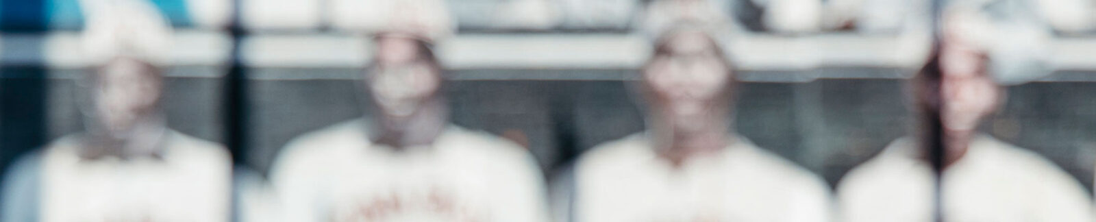 Boulevard Brewing – Solute to the Monarchs – header